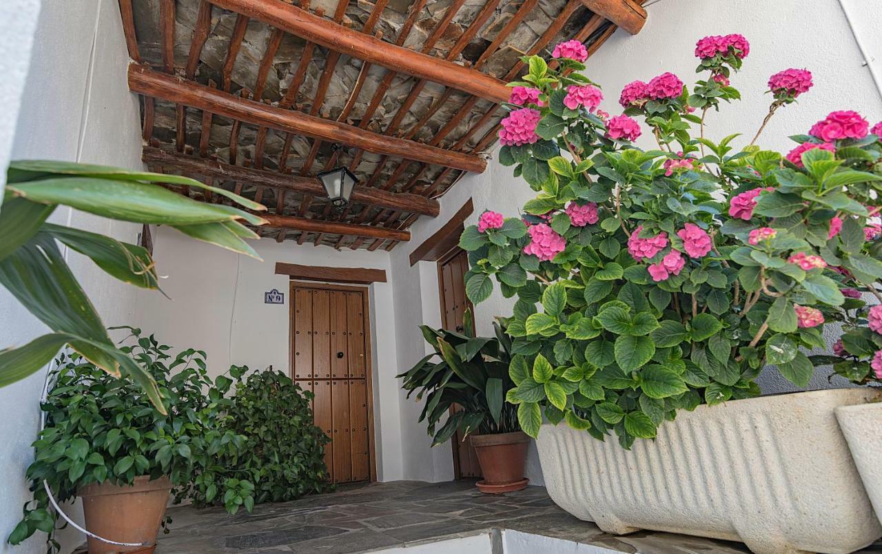 Apartamentos Rurales Las Chimeneas Capileira Dış mekan fotoğraf