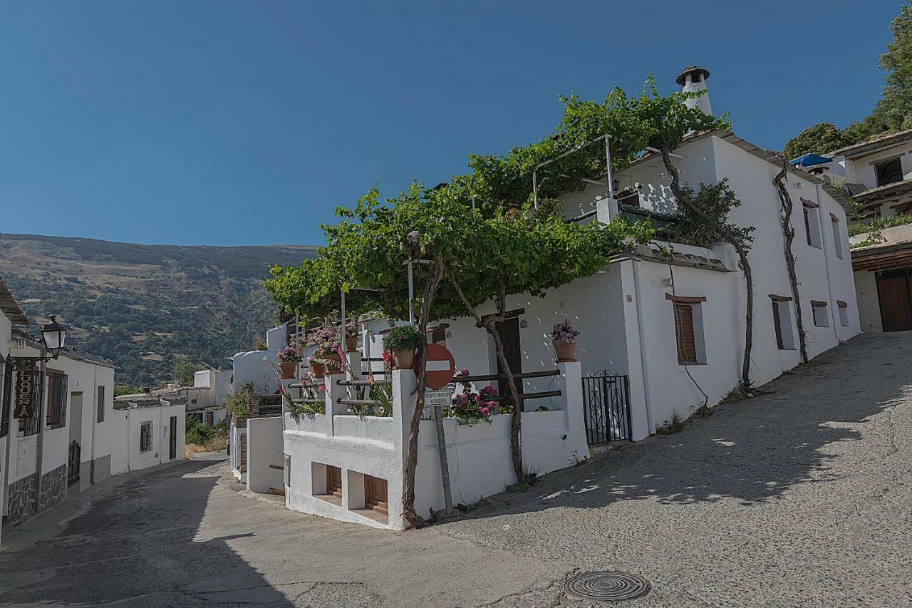 Apartamentos Rurales Las Chimeneas Capileira Dış mekan fotoğraf